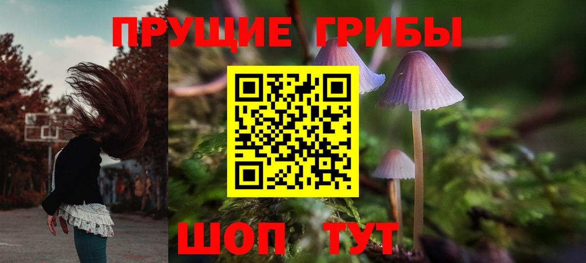 Междуреченск  Псилоцибиновые грибы Psilocybine cubensis  Галлюциногенные грибы Psilocybe  Вход с VPN 